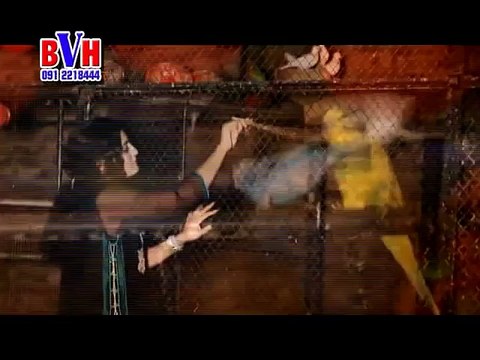 Pashto New Female Singer Gul Rukhsar