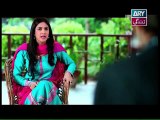 Bay Gunnah Episode 88 on Ary Zindagi