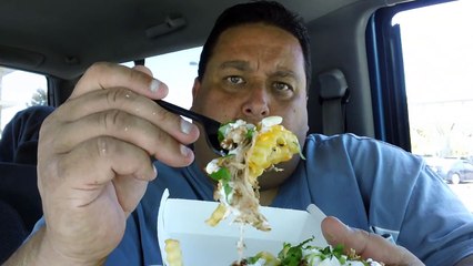 Del Tacos Loaded Carnitas Fries REVIEWED!!
