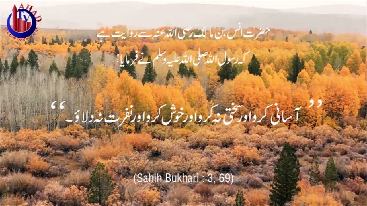 Hajj Tawaf Hoverboard Electric Scooter, Islamic Questions and Answers in Urdu, Sheikh Ammaar Saeed, AHAD TV