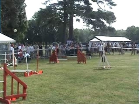 Selectif GPF agility