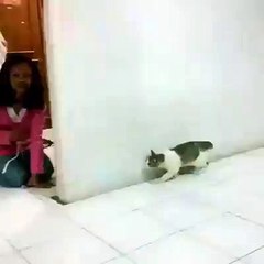 this little girl is naughty, scaring a kitty