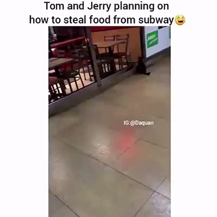 tom and jerry are tring to steal food from subway