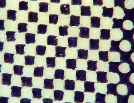 Nice to See You (ナイス･トゥー･シー･ユー) - Taku Furukawa