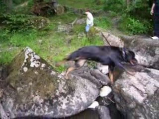 mon rott qui se gauffre