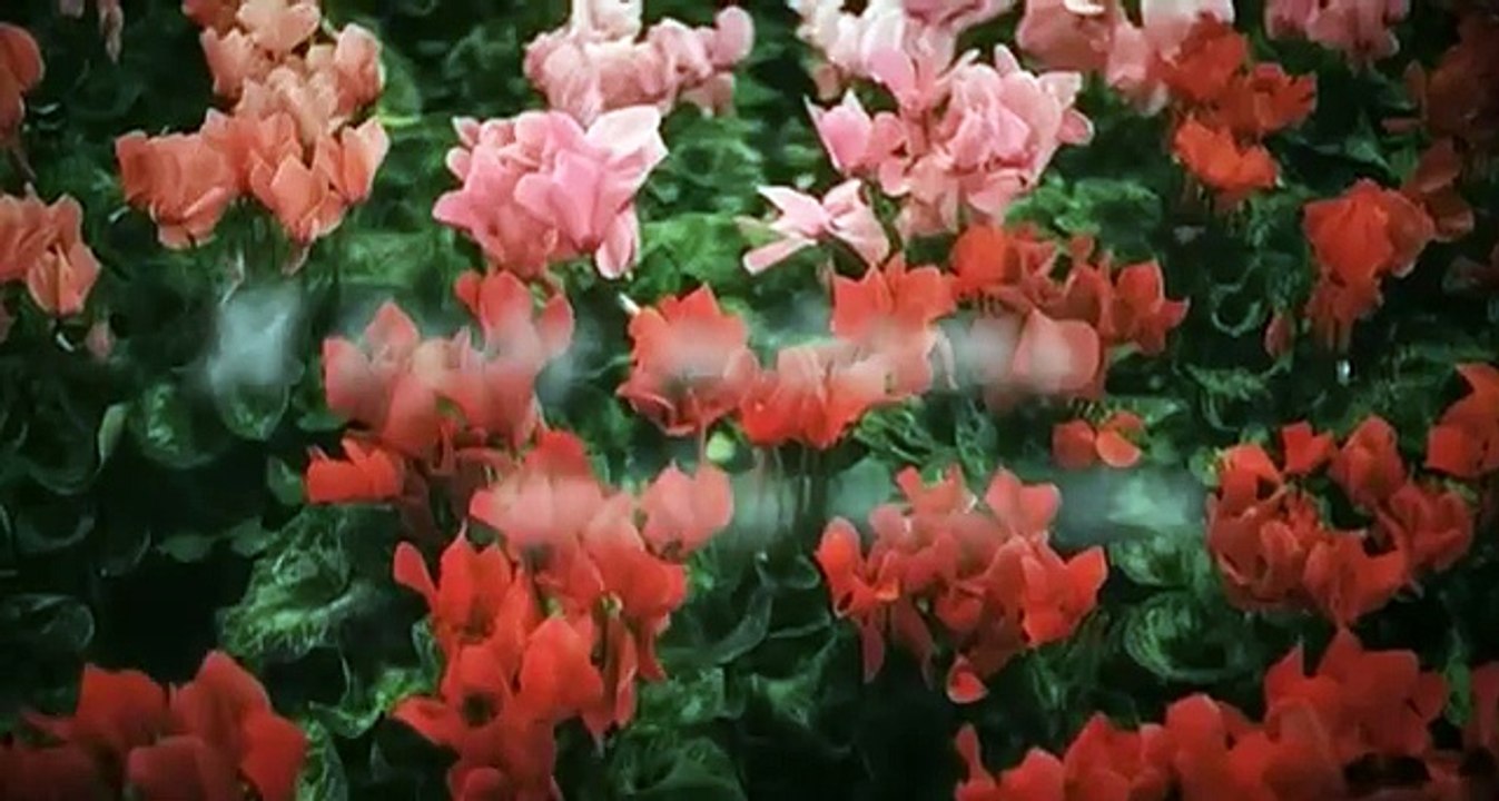 Я буду ждать тебя всегда  1 серия Мелодрама 2014
