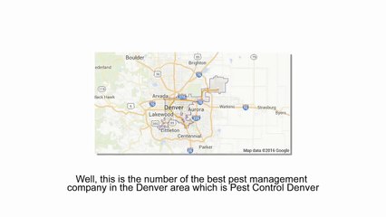Pest Control Denver