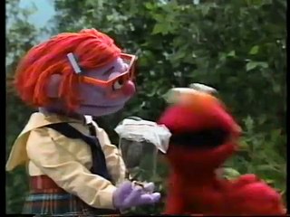 Sesame Street Watching a Caterpillar Turn Into a Butterfly