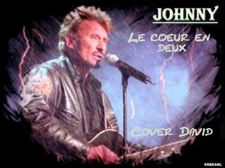 Johnny Hallyday - Le coeur en deux Cover David