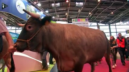 Agriculture : Le circuit court, un choix pas donné à tout le monde