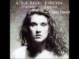 Celine Dion - D'amour ou d'amitié Cover David