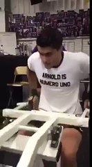 Best Arnold Impersonation Ever