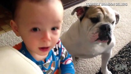 Distraction Baby feeds dog