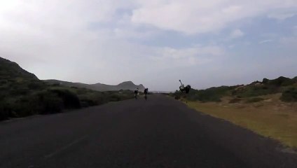 Des cyclistes poursuivis par une autruche en colère humour