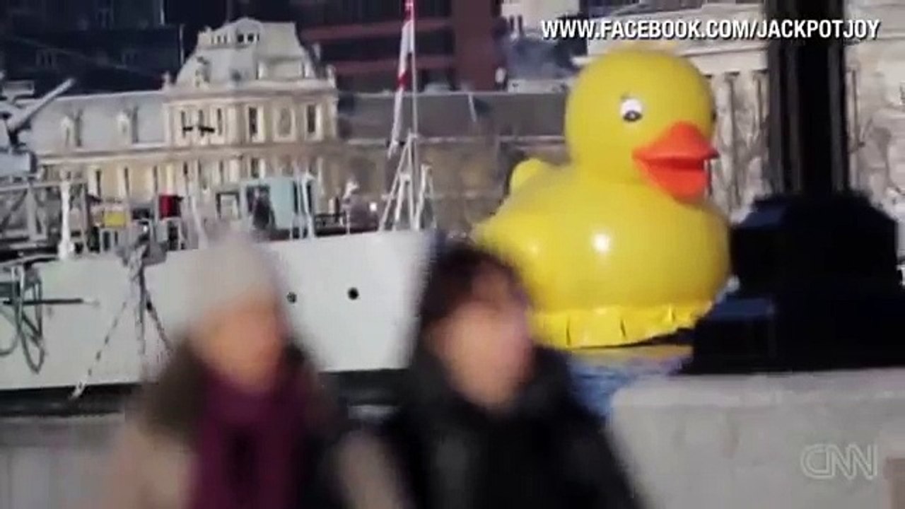 Distraction That's a huge duck!