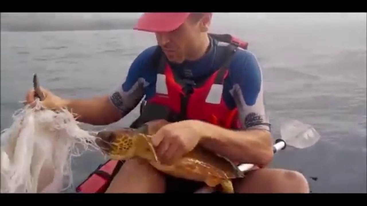Kayakers Rescue Sea Turtle In Spain