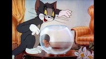 Tom and Jerry, 6 [E-0]isode - Puss n’ Toots (1942) D.e.s.s.i.n [A-n-i-m-a-t-i-o-n-s])]