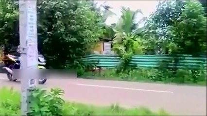 Top Funny Videos 2016 | Funny vines 2016 | Try not to laugh or grin challenge | Funny Vide