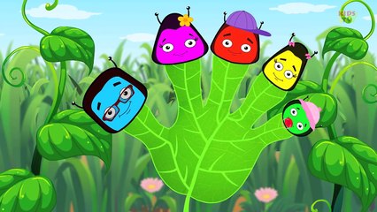 Finger Family Caterpillar | Caterpillar | Nursery Rhymes | Kids Rhymes | Kids TV