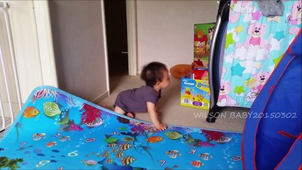 Day314 - Wilson Baby AIRING Himself With CARDBOARD, Wants To Play Plastic Bags & more