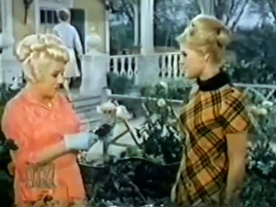 Petticoat Junction S05E15
