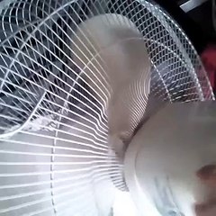 Nick wilde & judy hopps ft sawsbuck & blocky world | hyperlink music video (World Music 720p)