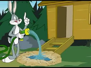 Looney Tunes Gatto Silvestro - Letti a Castello Rivali