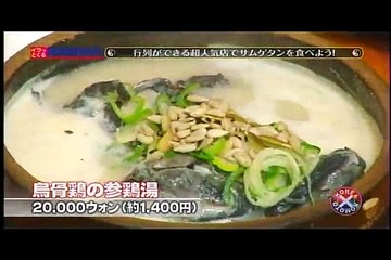 110304 イラ韓 (2/2)