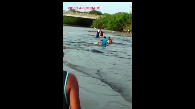 VIDEO: aterradoras imágenes de un cocodrilo que se lleva a un niño en Michoacán