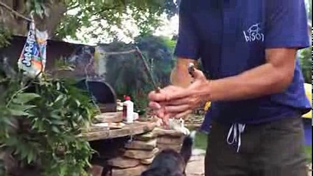 America's Funniest Home Videos Full Episode 2607