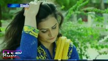 Jaamshoro By Reshma Parveen -Sindh Tv-Sindhi Song