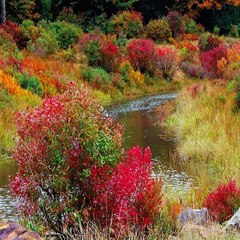 #안전토토사이트# 명량 윔블던 777포커먹튀없는곳안전코드구해요