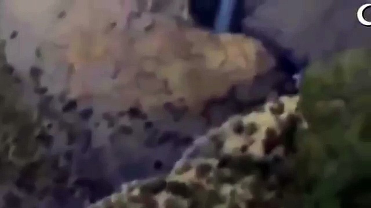 PKK Şırnak İdil YA TESLİM OLACAKSINIZ YA DA ÖLECEKSİNİZ Cehennem Deresi Operasyon TÜRK