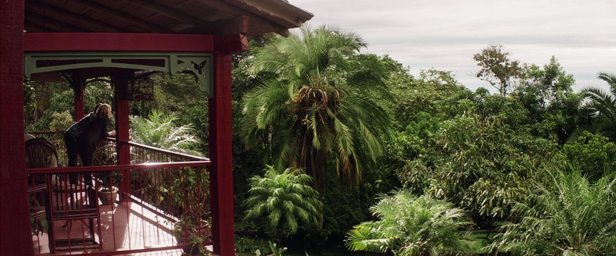 Из темноты (ужасы, мистика)