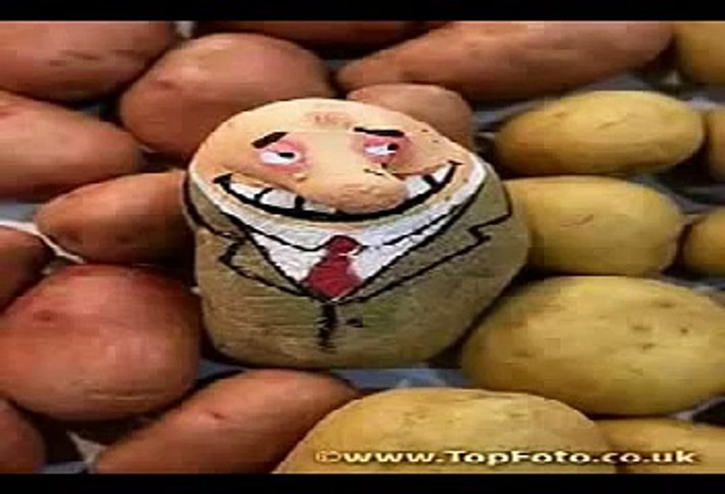 alo kachalo.flv