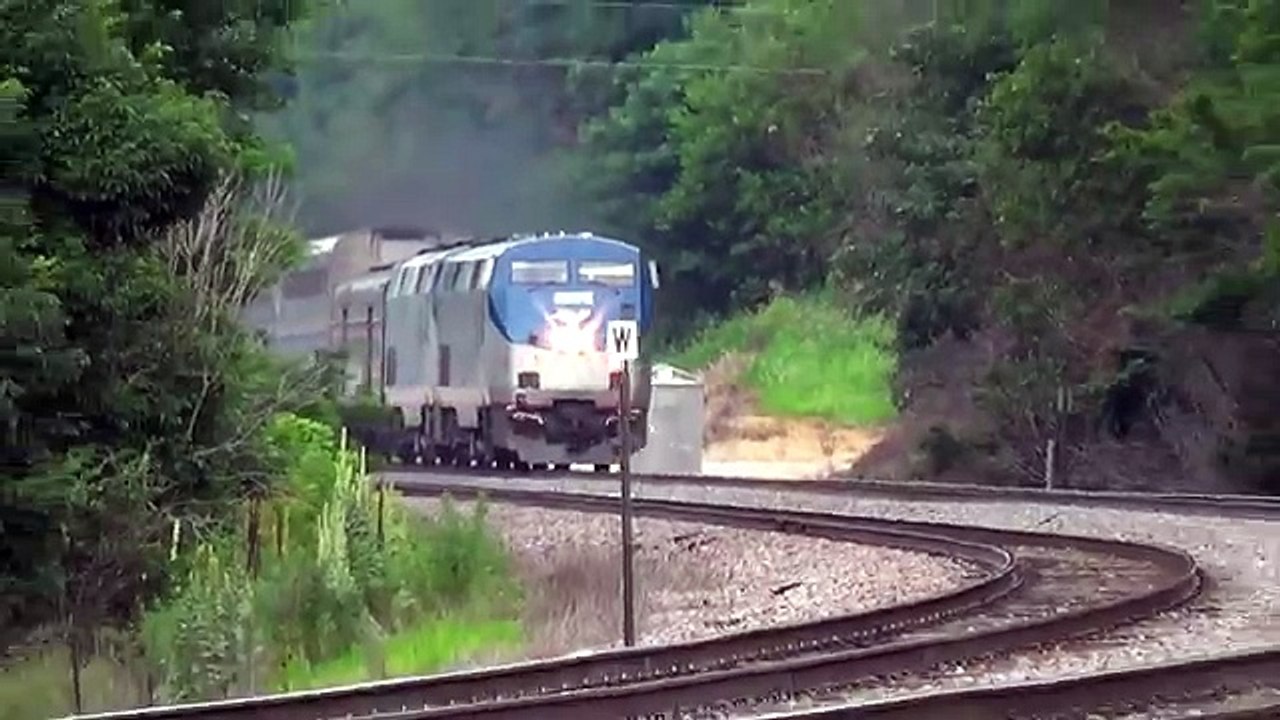 Amtrak Train Hits Deer