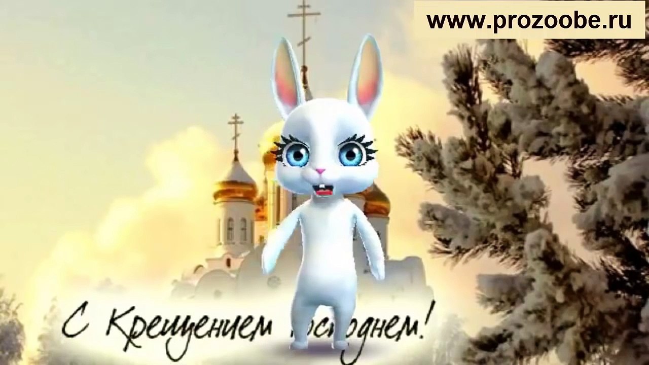 С Крещением ✵✵✵ Дивный день Крещение Господне ✵✵✵ Поздравление от Зайки Домашней Хозяйки