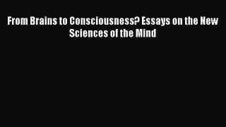 Download From Brains to Consciousness? Essays on the New Sciences of the Mind PDF Book Free
