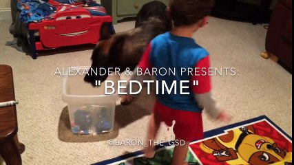 Family Dog Tucks Kid Into Bed At Night