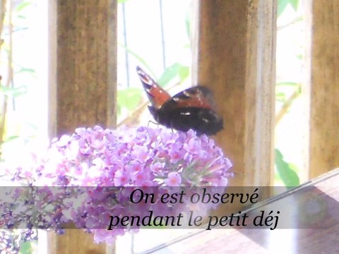 Nos Vacances à Meschers ( Charente-Maritime )