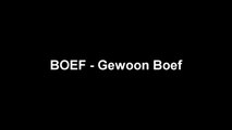 BOEF Gewoon Boef Lyrics