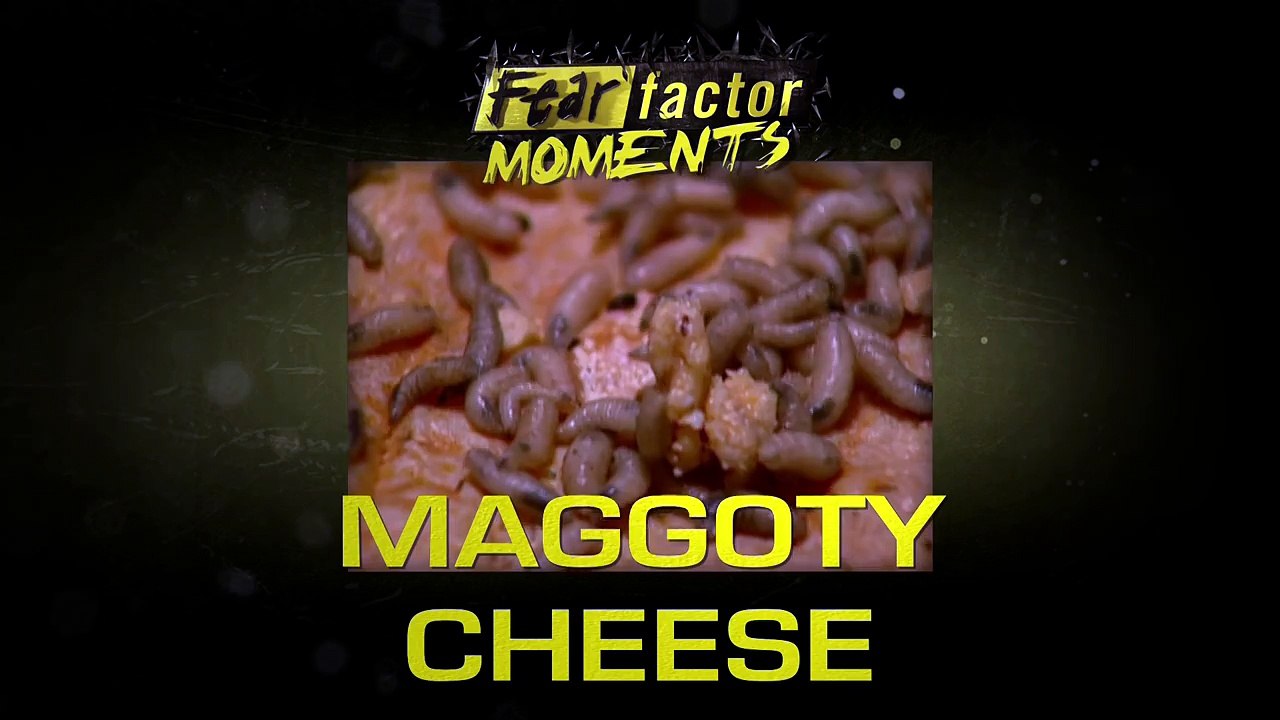 Fear Factor Moments | Maggoty Cheese