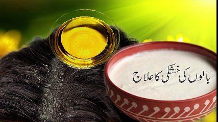 Hair Dandruff Solution 100% result urdu-hindi