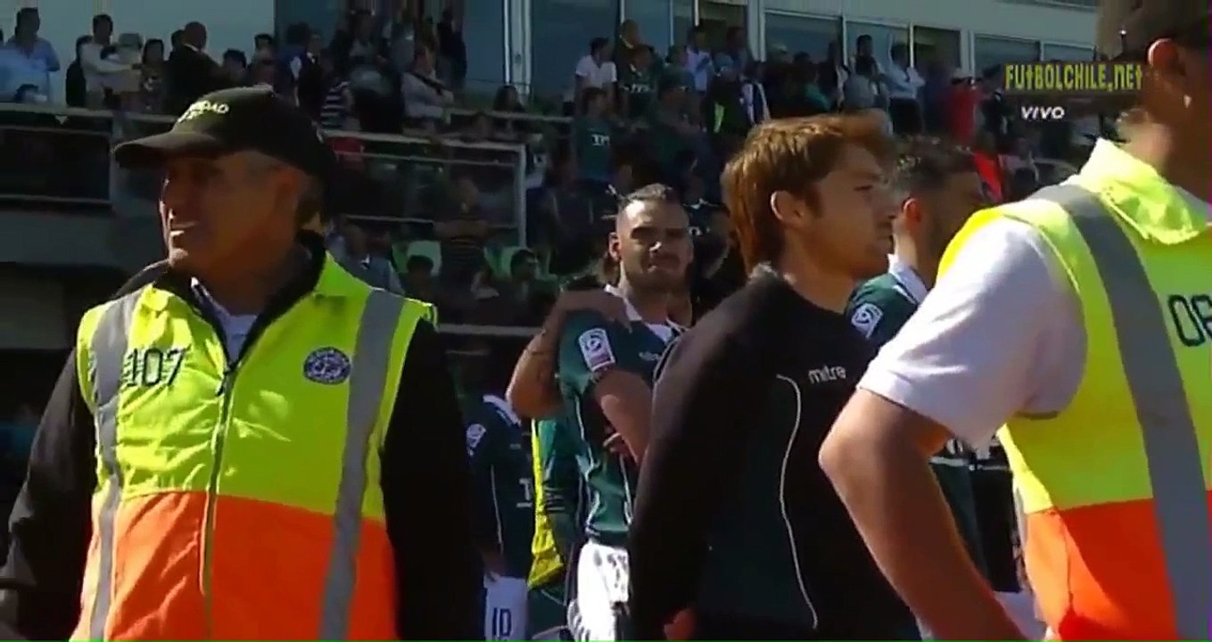 Hooligans Fight | Colo Colo vs Santiago Wanderers | Chile Torneo Apertura 2015 HD