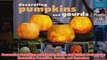 Download PDF  Decorating Pumpkins and Gourds 20 Fun and Stylish Projects for Decorating Pumpkins Gourds FULL FREE
