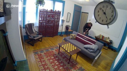 Timelapse shows what a dog gets up to when home alone