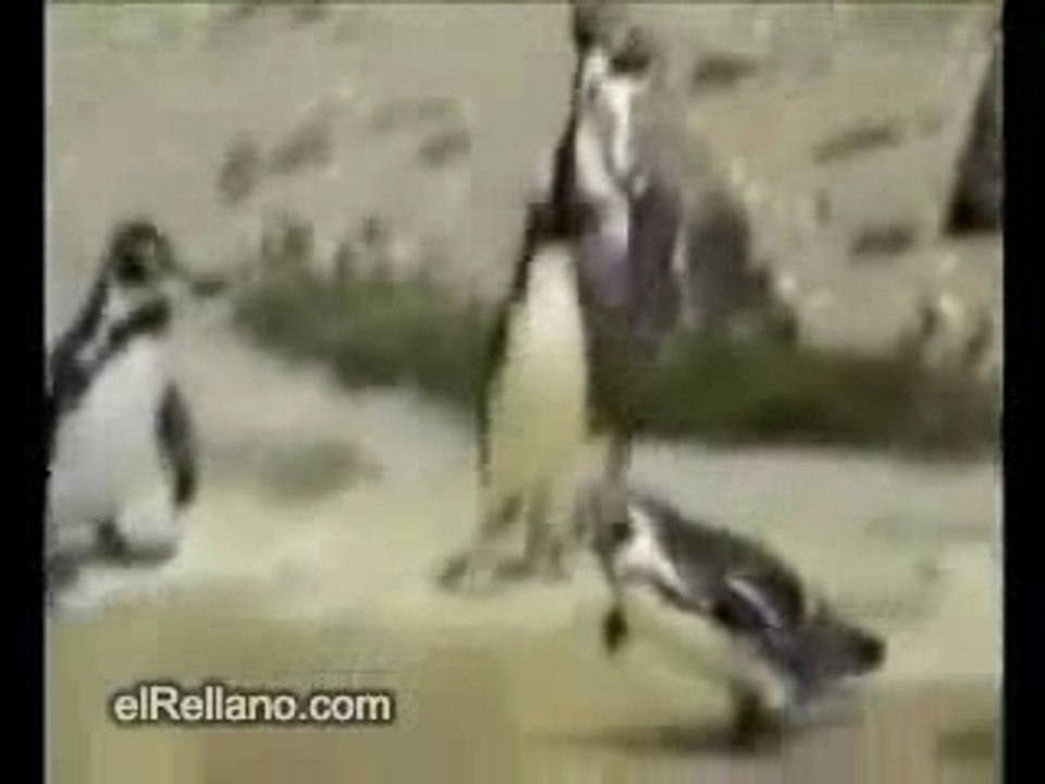 Sprizzare ....di gioia e felicità