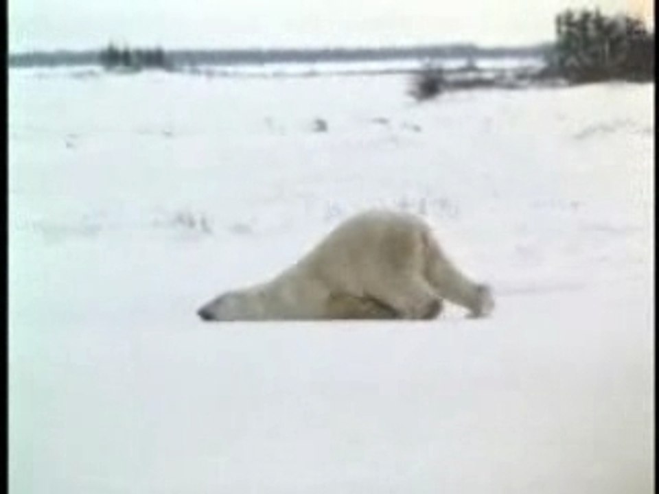 Partire...lento la Mattina