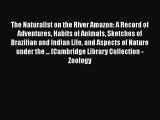 Download The Naturalist on the River Amazon: A Record of Adventures Habits of Animals Sketches