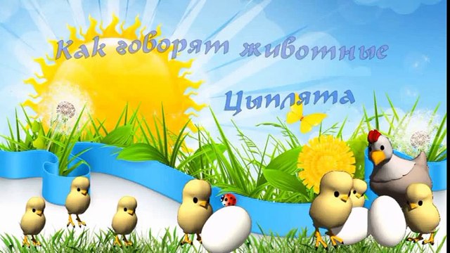 В Мире Животных - Как говорят животные - Цыплята ( живые звуки )